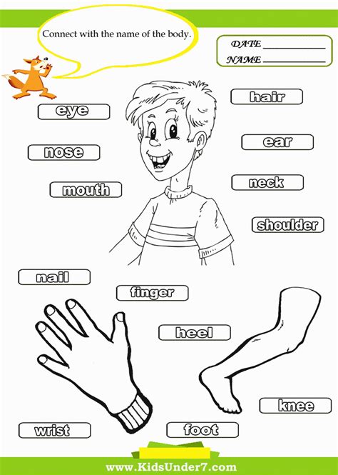 preschool body parts coloring page clip art library gambaran