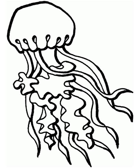 jellyfish clipart black  white    clipartmag