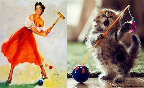 Anorak News 22 Cats That Look Like Pin Ups