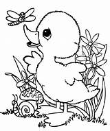 Coloring Duck Pages Baby Animal Easter Kids Printable Spring Line Ducks Cute Book Color Zoo Easy Getcolorings Animals Birthday Drawings sketch template