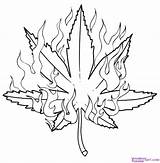 Coloring Pages Weed Cannabis Popular sketch template