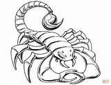 Scorpion Coloring Pages Drawing Prehistoric Scorpions Printable Cartoon Color Tail Simple Getdrawings Cool Print sketch template