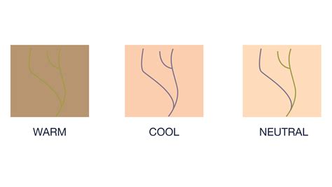 determine skin undertone  makeup   practical tips