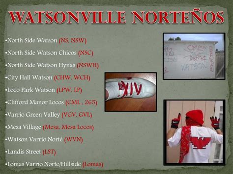 south county watsonville  norteno gang members  ut number  powerpoint