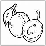 Frutas Plum Dibujoimagenes sketch template