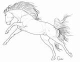 Horse Lineart Horses Drawing Drawings Coloring Pages Outline Deviantart Stables Bh Choose Board sketch template