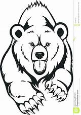 Bear Grizzly Clipart Clipartmag Coloring Drawing sketch template