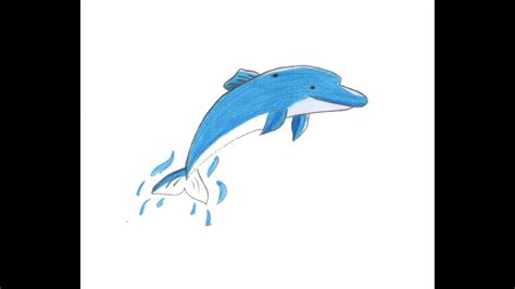 draw color fun dolphin easy  disegnare  simpatico