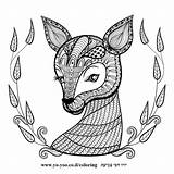 Fuchs Patterned Zentangle Ornamental Mandalas Artistically Animal sketch template