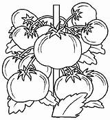 Essen Tomaat Mewarnai Makanan Animasi Jedzenie Nourriture Kleurplaten Bergerak Animierte Gify Koken Malvorlage Animaatjes Cibi Kolorowanki Kolorowanka Malvorlagen1001 1949 Animate sketch template