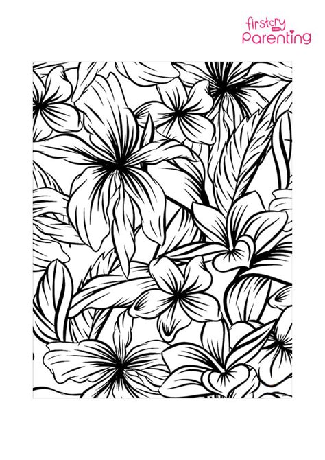 hibiscus flower coloring page  kids firstcry parenting