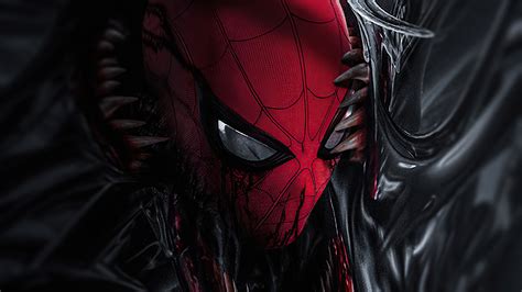 venom into spiderman hd superheroes 4k wallpapers images