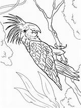 Macaw Coloring Pages Printable Color Birds Recommended Kids Getcolorings sketch template