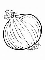 Onion Coloring Pages Vegetables Drawing Colouring Fruits Spinach Kids Color Soup Template Stone Vegetable Getcolorings Printable Getdrawings Sketch Recommended sketch template