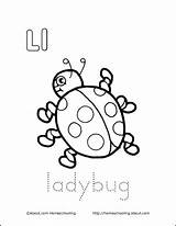 Ladybug sketch template