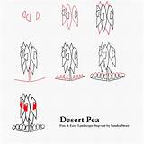 Desert Pea sketch template
