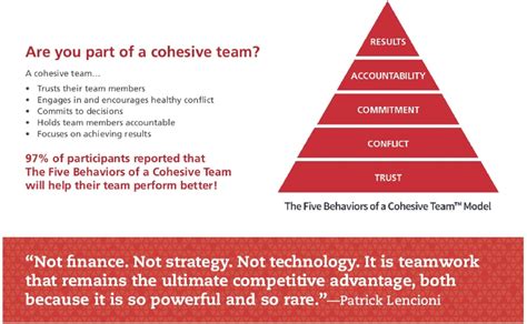 behaviors   cohesive team team accountability