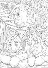 Mandala Tigers Ausmalen Ausmalbilder Sheets Favoreads Detailed Erwachsene Zahlen Coloriage Vorlagen Ausmalbild Ausdrucken Wildtiere Malvorlagen Adultos Malbuch Zeichenvorlagen Weihnachtskatzen Animais sketch template