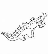Alligator Coloring Pages Printable Color Toddler sketch template