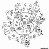 Mandala Coloring Automne Pages Dessin Coloriage Info sketch template