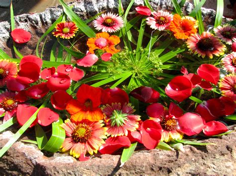 red  yellow flowers    stone planter
