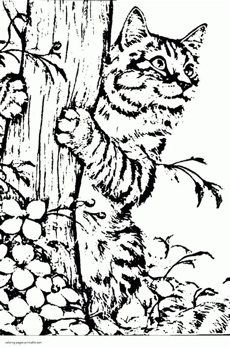 christmas cats colouring pages