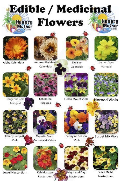 enjoy edible flowers list  edible flowers eatable flowers