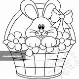 Basket Easter Bunnies Coloringpage Chicks sketch template