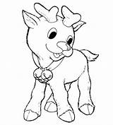 Reindeer Coloring Pages Rudolph Baby Nosed Red Printable Colouring Rudolf Collar Christmas Cute Color Print Nose Jingle Bell Kids Snowman sketch template
