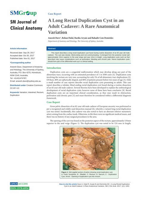 pdf a long rectal duplication cyst in an adult cadaver a rare