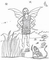 Desert Coriander Fairies Coloring Pages Robin Great Fairy sketch template