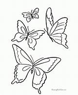 Coloring Pages Hummingbird Butterfly Everfreecoloring Printable sketch template