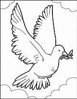 Dove Peace Coloring Pages Bird Flight Color Hellokids Online Birds Print Choose Board sketch template
