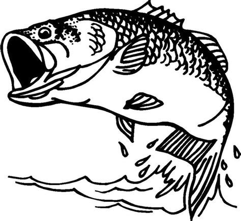 white bass fish coloring pages