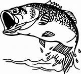 Bass Fish Tattoo Outlines Outline Clip Vector Coloring Stencil Largemouth sketch template