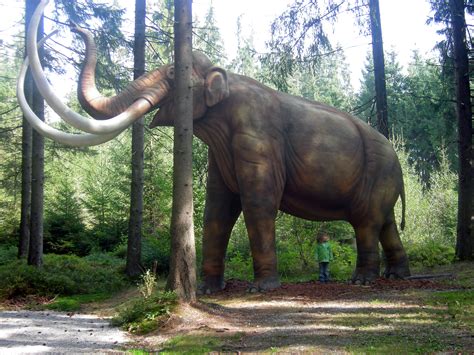 filemammoth mammut modeljpg wikimedia commons