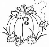 Coloring Pumpkin Pages Autumn Fall Sheets Kids Halloween Drawing Choose Board Drawings sketch template
