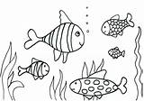 Coloring Fish Tank Pages Aquarium Printable Color Getcolorings sketch template