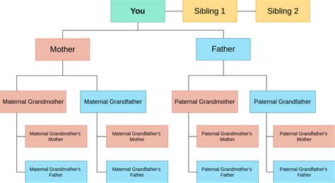 murphys family tree family tree