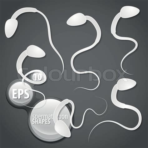uterus fertilization sperm stock vector colourbox