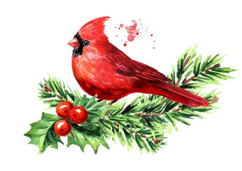 popular songbirds  decorate  holidays farmers almanac