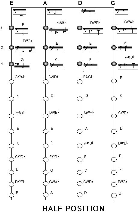 Double Bass Fingering Charts