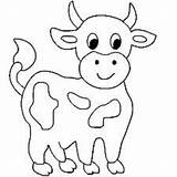Cow Cartoon Pages Coloring Getcolorings Color sketch template