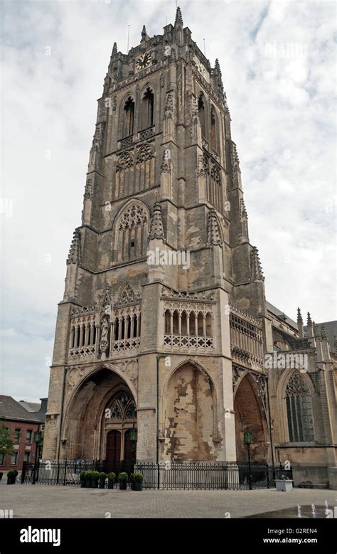tongeren basilica onze lieve vrouwe basiliek  tongeren limburg belgium stock photo alamy