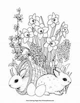 Spring Disegni Primarygames Bunnies Colouring Ostern Erwachsene Ausmalbilder Colorare Hase Erwachsenen Schlappohren Malvorlagen Zentangle Viatico sketch template