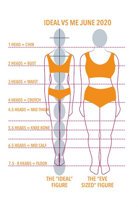 Understanding Body Proportions The Creative Curator