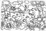 Hewan Hitam Pemandangan Mewarnai Kebun Mewarna Sketsa Binatang Diwarnai Haiwan Contoh Anak Tumbuhan Tk Frewaremini Sel Warna Pegunungan Terlengkap Ngaji sketch template