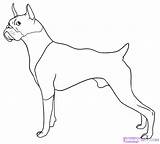 Boxer Coloring Pages Puppy Dog Getcolorings sketch template