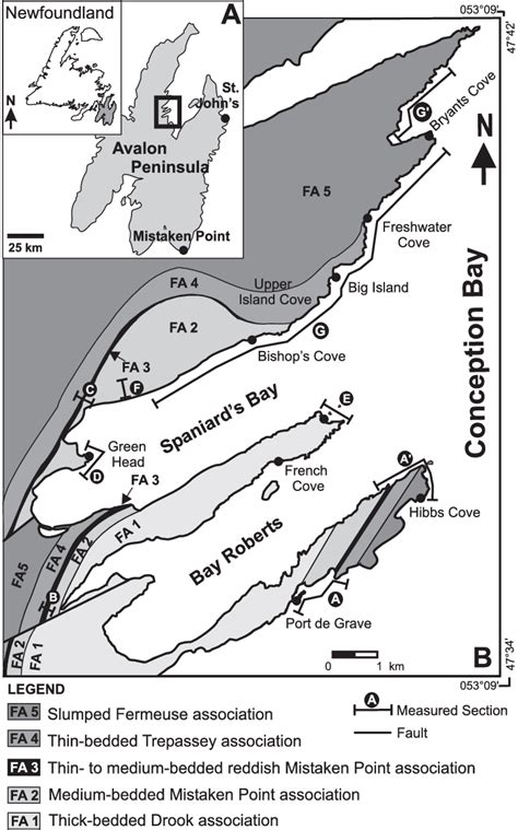 location map showing  area  study   northern avalon