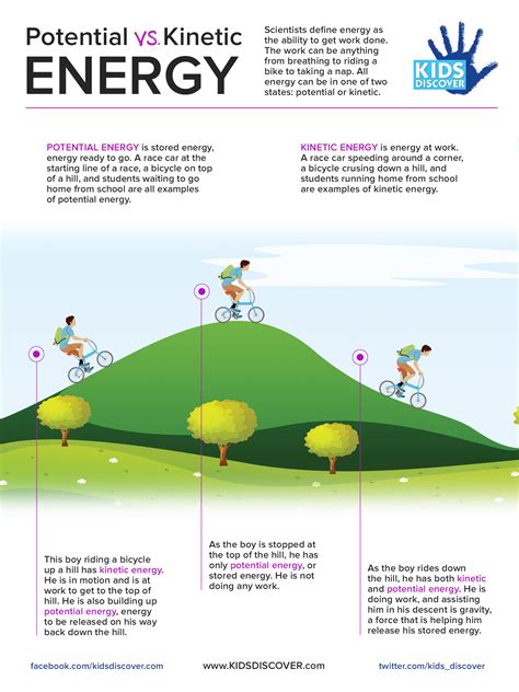 infographic potential  kinetic energy kids discover